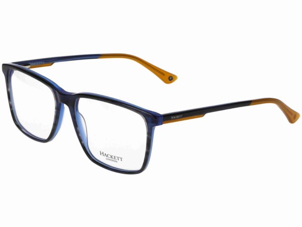 Hackett Eyewear Herrenbrille 1324 670