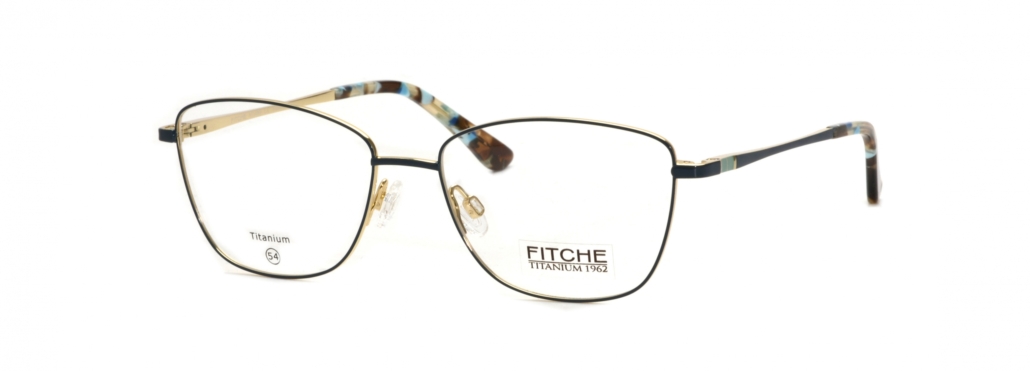 Fitche_1099_01 Fitche_1099_01