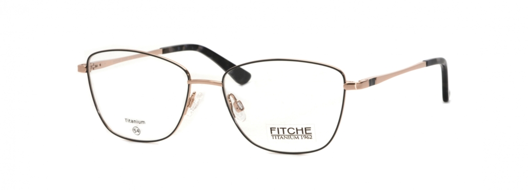 Fitche_1099_02 Fitche_1099_02