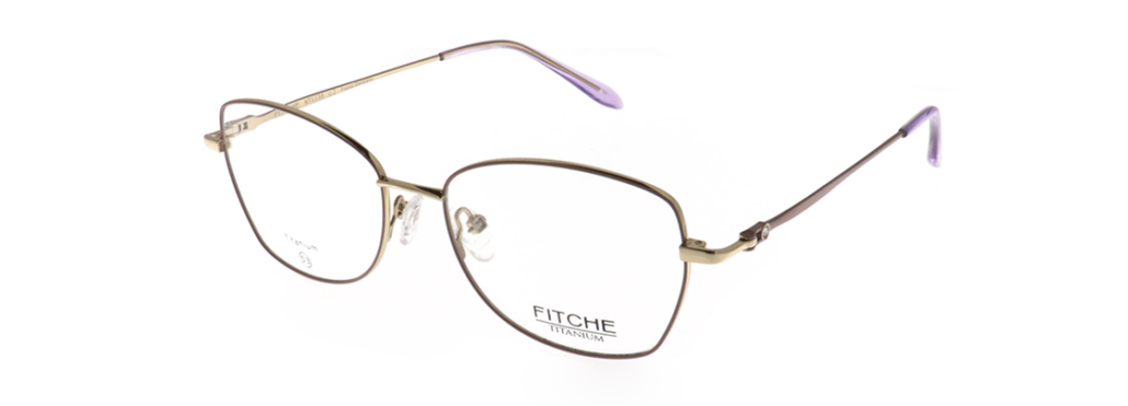 Fitche_1138_02