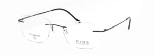 Fitche_3011_01
