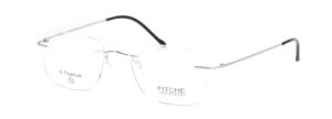 Fitche_3011_02